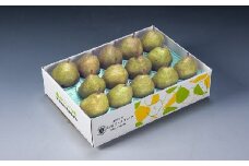 西洋梨（ラ・フランス）５ｋｇ　0020-2513