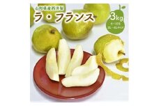 西洋梨（ラ・フランス）３ｋｇ　ご家庭用　0052-2505