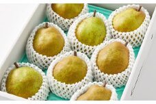 西洋梨（ラ・フランス）３ｋｇ　0052-2507
