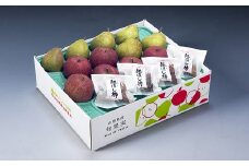 ラ・フランス・りんご・干し柿詰め合わせ　４ｋｇ　0020-2516