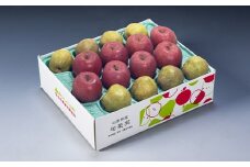ラ・フランスとりんご詰め合わせ　５ｋｇ　0020-2515