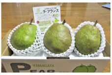 西洋梨（ラ・フランス）　大玉３玉　１.５ｋｇ以上　0025-2512