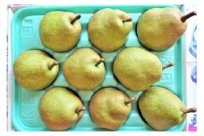 西洋梨（ラ・フランス）３ｋｇ　0025-2513
