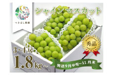 上山産・絶品シャインマスカット　１.８ｋｇ以上♪　0140-2506