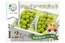 【産地直送】上山産・絶品シャインマスカット　１.２ｋｇ以上♪　0140-2505