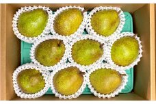 西洋梨（ラ・フランス）３ｋｇ　ご家庭用　0065-2506