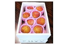 すもも（秋姫）２.４ｋｇ　0017-2508
