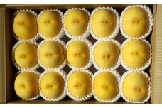 【数量限定】桃（黄貴妃）５ｋｇ　特秀品　0106-2505