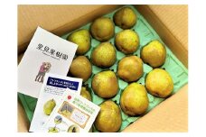 西洋梨（ラ・フランス）５ｋｇ　１６～２０玉　0079-2516