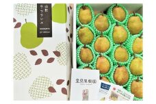 西洋梨（ラ・フランス）５ｋｇ　１８～２０玉　特秀品　0079-2518
