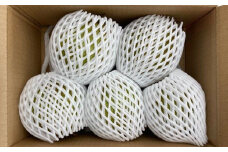 西洋梨（ラ・フランス）３ｋｇ　大玉　ご家庭用　0078-2503