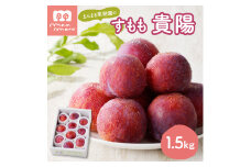 すもも（貴陽）１.５ｋｇ　0055-2512