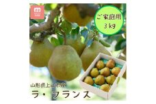 西洋梨（ラ・フランス）３ｋｇ　ご家庭用　0055-2513
