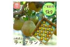 西洋梨（ラ・フランス）５ｋｇ　ご家庭用　0055-2515