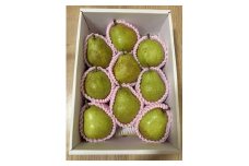 西洋梨（ラ・フランス）３ｋｇ　贈答用　0142-2510