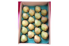 西洋梨（ラ・フランス）５ｋｇ　１８玉　ご家庭用　0042-2506