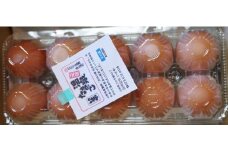 【かみのやま温泉】温泉たまごとminiポストカードセット　0145-2301