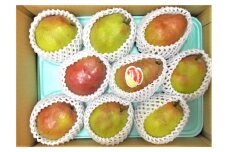 西洋梨（カリフォルニア）３ｋｇ　ご家庭用　0017-2515