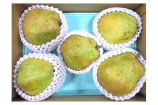 西洋梨（ラ・フランス）　３ｋｇ　大玉　ご家庭用　0017-2517