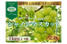 【樹上完熟】シャインマスカット　１ｋｇ（もぎたて直送）　0148-2512