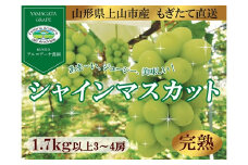 【樹上完熟】シャインマスカット　１.７ｋｇ（もぎたて直送）　0148-2513