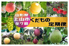 【定期便：全７回】くだもの定期便　0047-2513