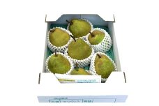 西洋梨（ラ・フランス）３.３ｋｇ　大玉　秀品　0009-2513
