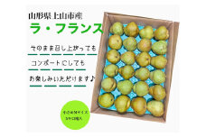 西洋梨（ラ・フランス）５ｋｇ　Ｍサイズ　ご家庭用　0055-2514