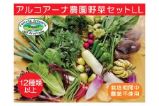 【２０２５年７月～発送】アルコアーナ農園野菜セット（栽培期間中農薬不使用）ＬＬサイズ　0148-2508