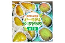 【定期便：全２回】オーロラとラ・フランス　各２.５ｋｇ　0012-2510