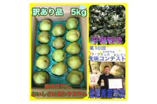 ラ・フランス　５ｋｇ　ご家庭用　0102-2505