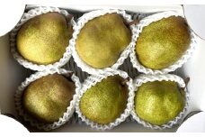 西洋梨（ラ・フランス）２ｋｇ　ご家庭用　0065-2505