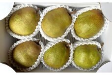 西洋梨（ラ・フランス）２ｋｇ　特秀品　0065-2507