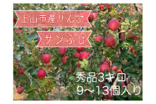 りんご（サンふじ）３ｋｇ　９～１３個　0120-2504