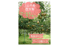 西洋梨（ゴールドラ・フランス）３ｋｇ　７～１２個　0120-2505