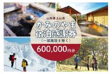 上山市ふるさと納税感謝券６００,０００円分　0023-2302