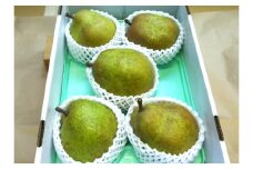 西洋梨（ラ・フランス）３ｋｇ×２箱　大玉　0017-2521