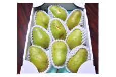 西洋梨（バラード）３ｋｇ　ご家庭用　0017-2514