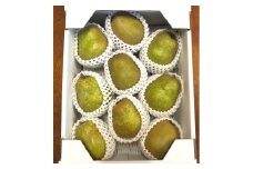 西洋梨（ラ・フランス）３ｋｇ　ご家庭用　0137-2501