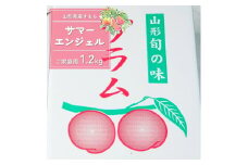 すもも（サマーエンジェル）１.２ｋｇ　ご家庭用　0012-2505