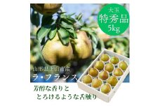 西洋梨（ラ・フランス）５ｋｇ　特秀品　0055-2517