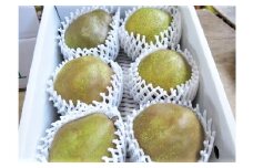 西洋梨（ラ・フランスまたはゴールドラ・フランス）２.５ｋｇ　中玉～大玉　0075-2508