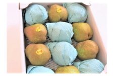西洋梨（ラ・フランスまたはゴールドラ・フランス）３.５ｋｇ　ご家庭用　0075-2507