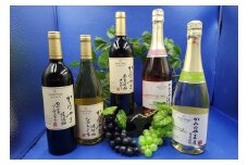 【定期便：全５回】サントネージュかみのやまプレミアムワイン　0141-2421