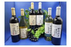 サントネージュかみのやま産葡萄のワイン満足セット　0141-2415
