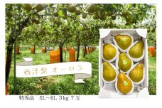 西洋梨（オーロラ）３ｋｇ　７玉　５L～６L　特秀品　0062-2503