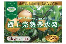 【樹上完熟】和梨「豊水」　５ｋｇ　７～１６玉（直送便）　0148-2504