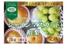 【直送便】完熟シャインマスカットと和梨セット（小）　0148-2509