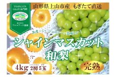 【直送便】完熟シャインマスカットと和梨セット（大）　0148-2510