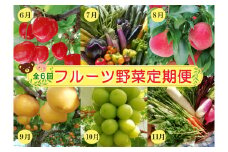 【定期便：全６回】フルーツと無農薬野菜の定期便　0148-2501